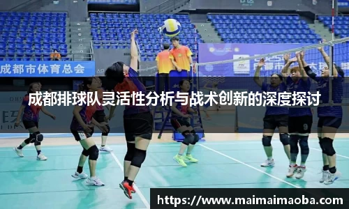 成都排球队灵活性分析与战术创新的深度探讨